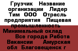 Грузчик › Название организации ­ Лидер Тим, ООО › Отрасль предприятия ­ Пищевая промышленность › Минимальный оклад ­ 20 000 - Все города Работа » Вакансии   . Амурская обл.,Благовещенск г.